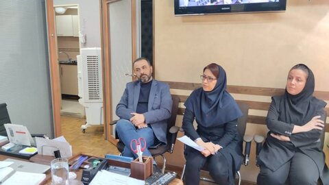 بررسی عملکرد و آسیب شناسی عملکرد کمیته های تخصصی هیات