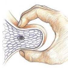 نقاط ماشه ای