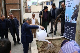 آغاز پویش کاشت زندگی به مناسبت هفته درختکاری