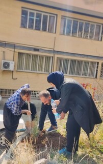 پویش کاشت زندگی به مناسبت هفته درختکاری با حضور همکاران هیات پزشکی ورزشی استان کردستان