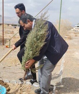 اجرای پویش سراسری " کاشت زندگی" توسط هیأت پزشکی ورزشی استان کرمان