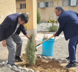 اجرای پویش سراسری " کاشت زندگی" توسط هیأت پزشکی ورزشی استان کرمان