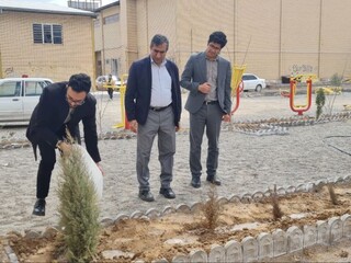 اجرای پویش سراسری " کاشت زندگی" توسط هیأت پزشکی ورزشی استان کرمان