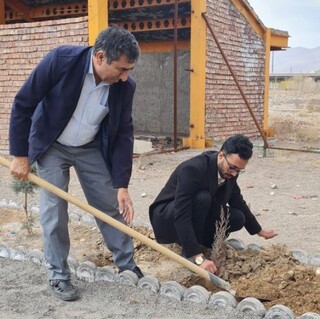اجرای پویش سراسری " کاشت زندگی" توسط هیأت پزشکی ورزشی استان کرمان