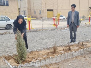 اجرای پویش سراسری " کاشت زندگی" توسط هیأت پزشکی ورزشی استان کرمان