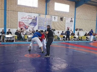 گزارش تصویری