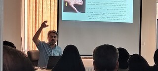 ماساژ ورزشی