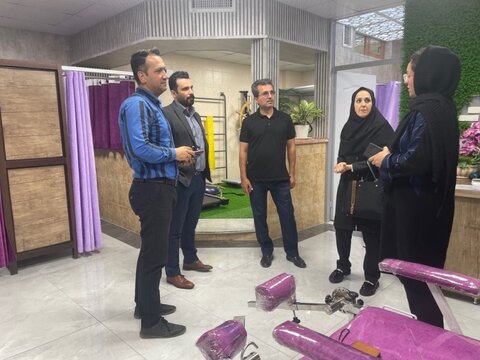 بازدید تاکستان