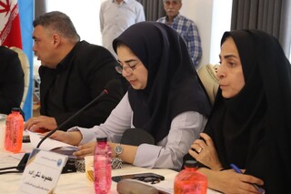 گزارش تصوبری: