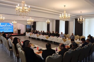 گزارش تصوبری: