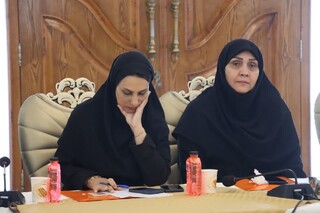 گزارش تصوبری: