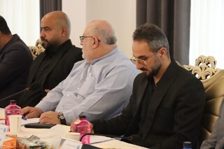 گزارش تصوبری: