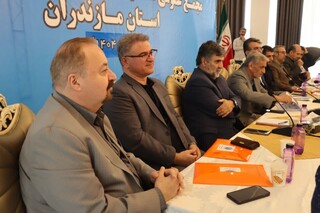 گزارش تصوبری: