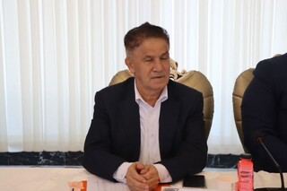 گزارش تصوبری: