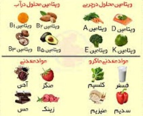 مصرف ریز مغزی ها(مواد معدنی) و فعالیت ورزشی