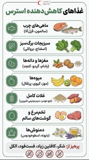 غذاهای کاهش دهنده استرس/اینفوگرافیک