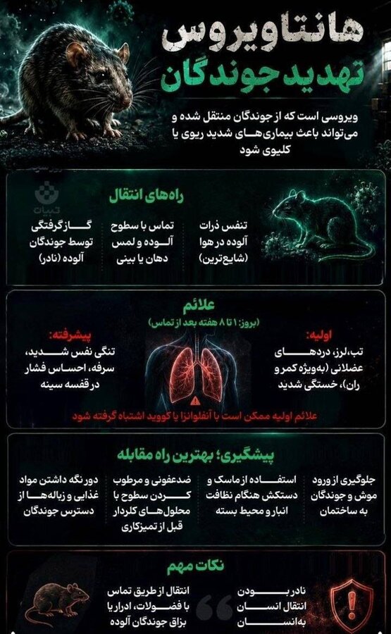 اینفوگرافیک/ هانت ویروس تهدید جوندگان