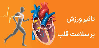 قلب و عروق