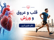 قلب و عروق و ورزش