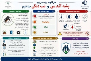 هر آنچه باید درباره تب دنگی بدانیم