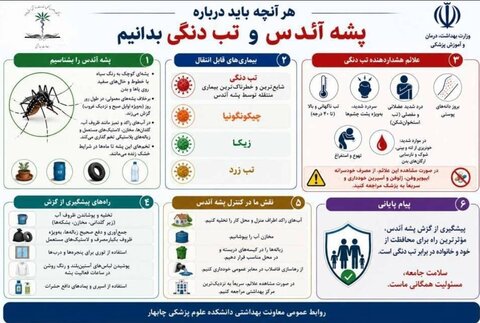 هر آنچه باید درباره تب دانگی بدانیم