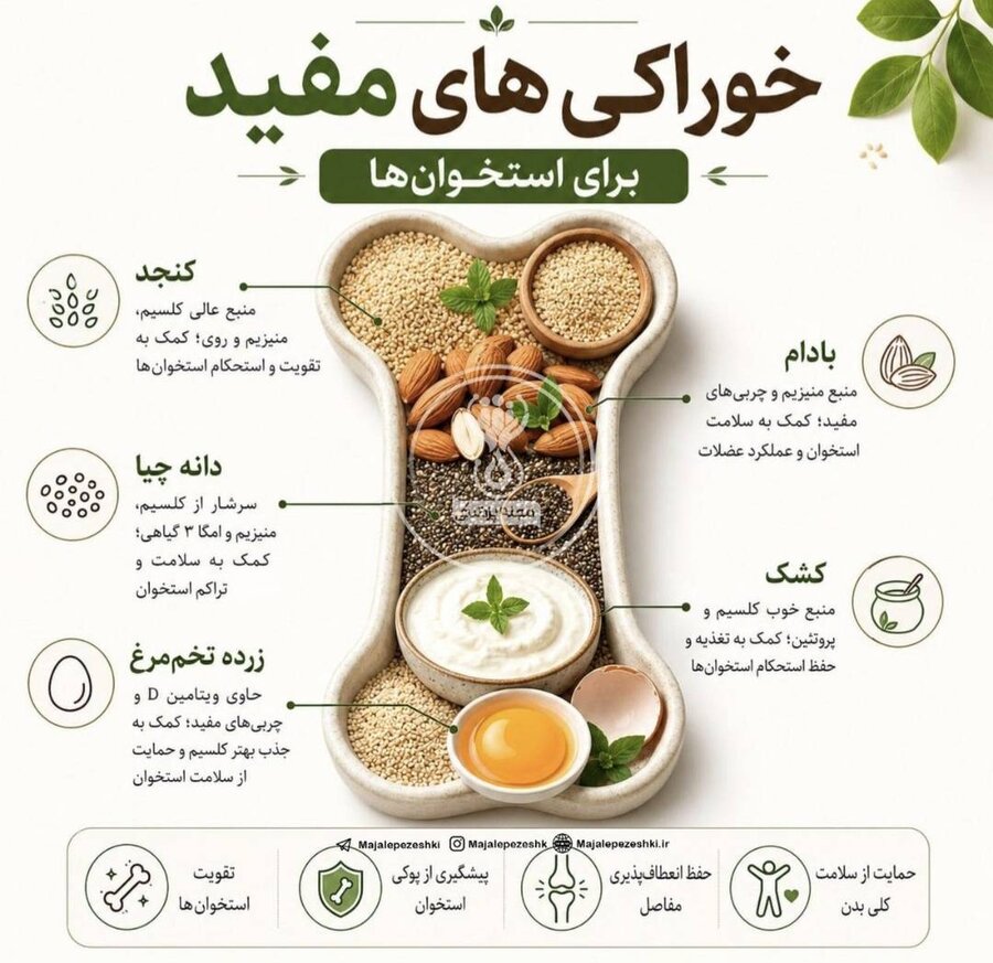 خوراکی‌های مفید برای استخوان‌ها/اینفوگرافیک
