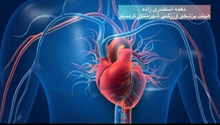 قلب سالم