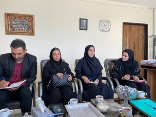 بازدید آبیک