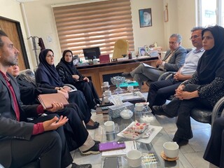 بازدید آبیک