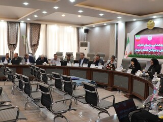 نشست هم اندیشی روسای ادارات ورزش و جوانان استان کرمان با هیأت پزشکی ورزشی