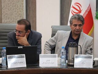 نشست هم اندیشی روسای ادارات ورزش و جوانان استان کرمان با هیأت پزشکی ورزشی