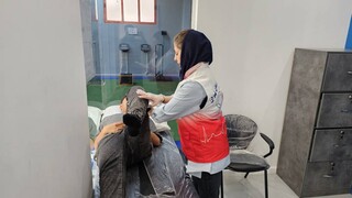 گزارش تصویری بازدید رئیس هیأت پزشکی ورزشی استان تهران از روند معاینات فوتبالیست‌های جوان