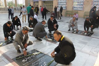 گزارش تصویری