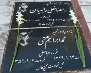 گزارش تصویری