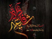 پیام تسلیت  دکتر قاسم برجویی فرد« رییس هیات پزشکی ورزشی استان بوشهر